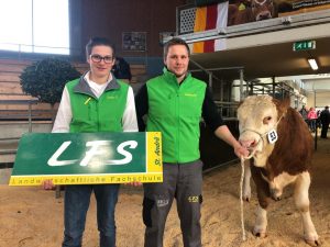 Stier Clausi erhielt den 3. Platz bei der Fleischrindermesse in St. Donat am 16.3.2019